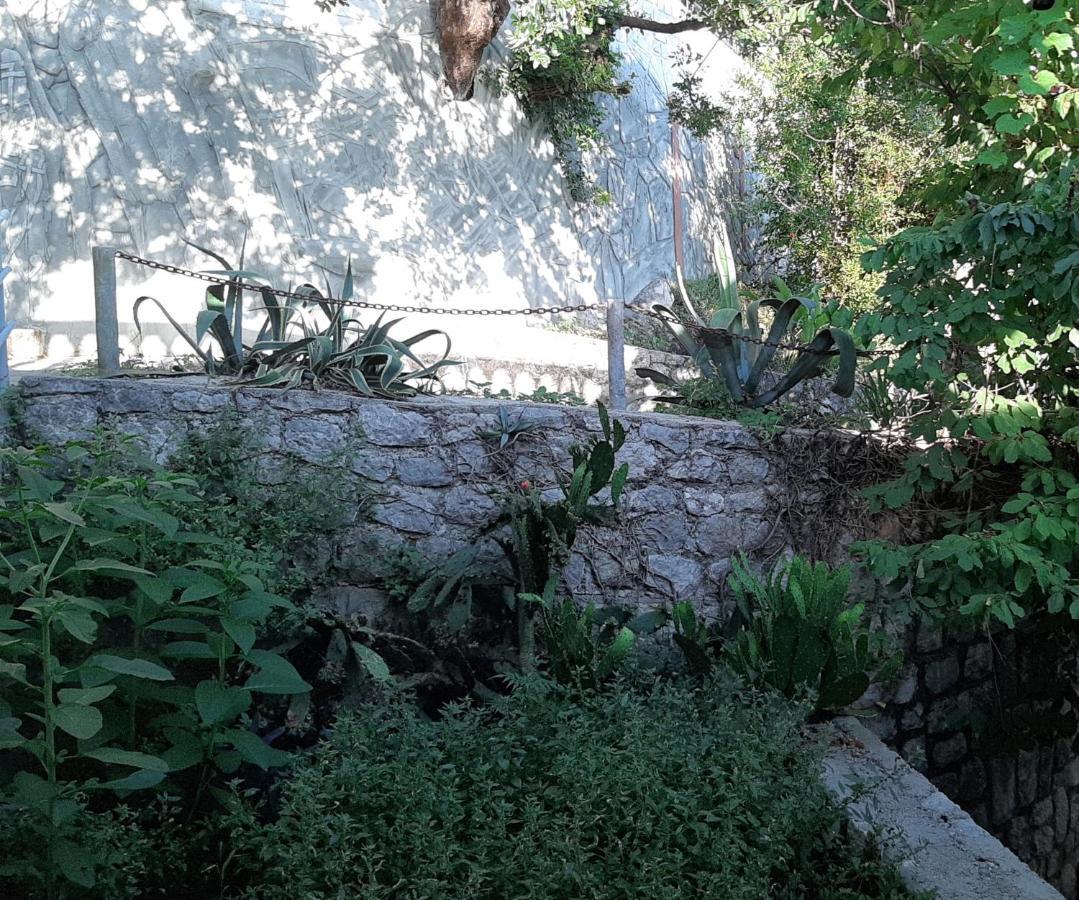 Adriabay Studio Tivat Dış mekan fotoğraf
